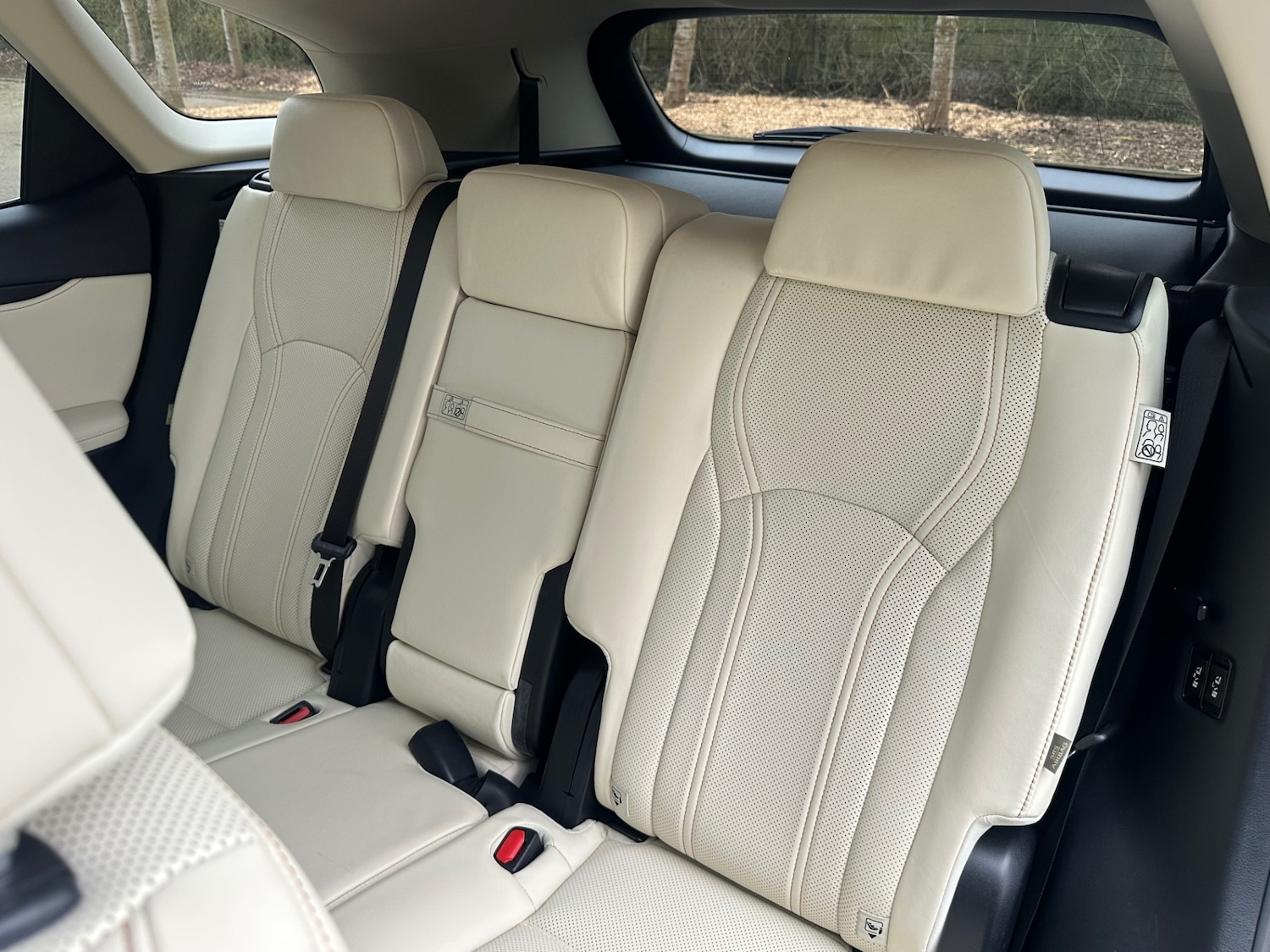 Used Lexus RX 2022 for sale - 77801766: Photo 14