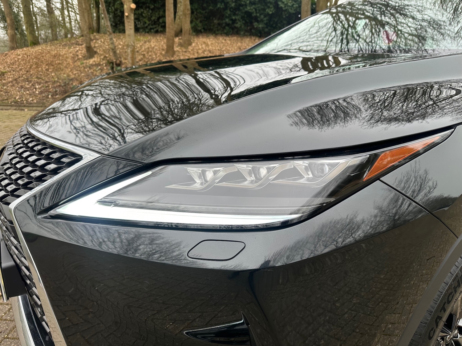 Used Lexus RX 2022 for sale - 77801766: Photo 23