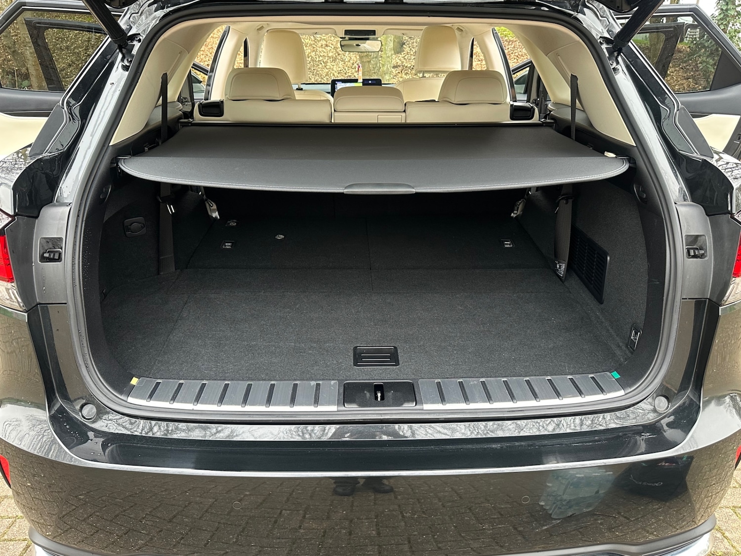 Used Lexus RX 2022 for sale - 77801766: Photo 24