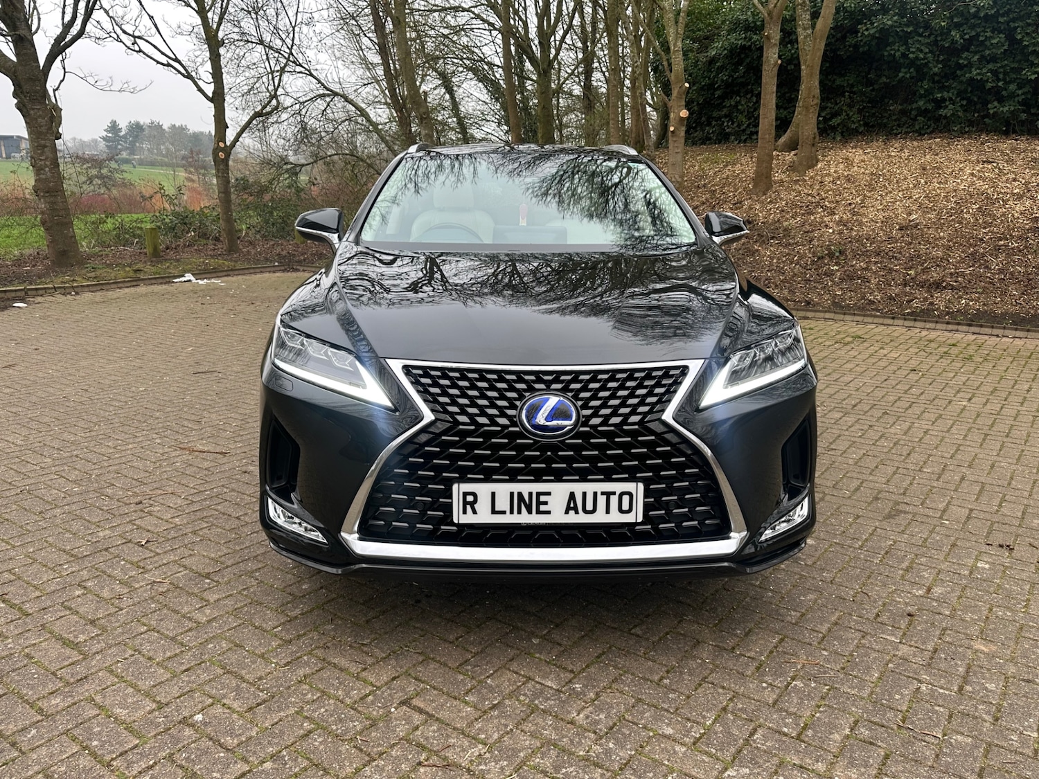 Used Lexus RX 2022 for sale - 77801766: Photo 9