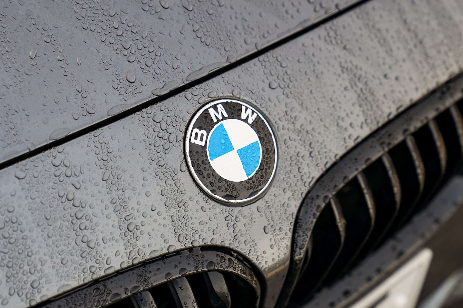 Used BMW 1 Series 2019 for sale - 76651381: Photo 22