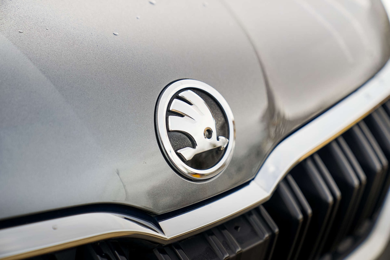 Used Skoda Kamiq 2024 for sale - 76762550: Photo 4