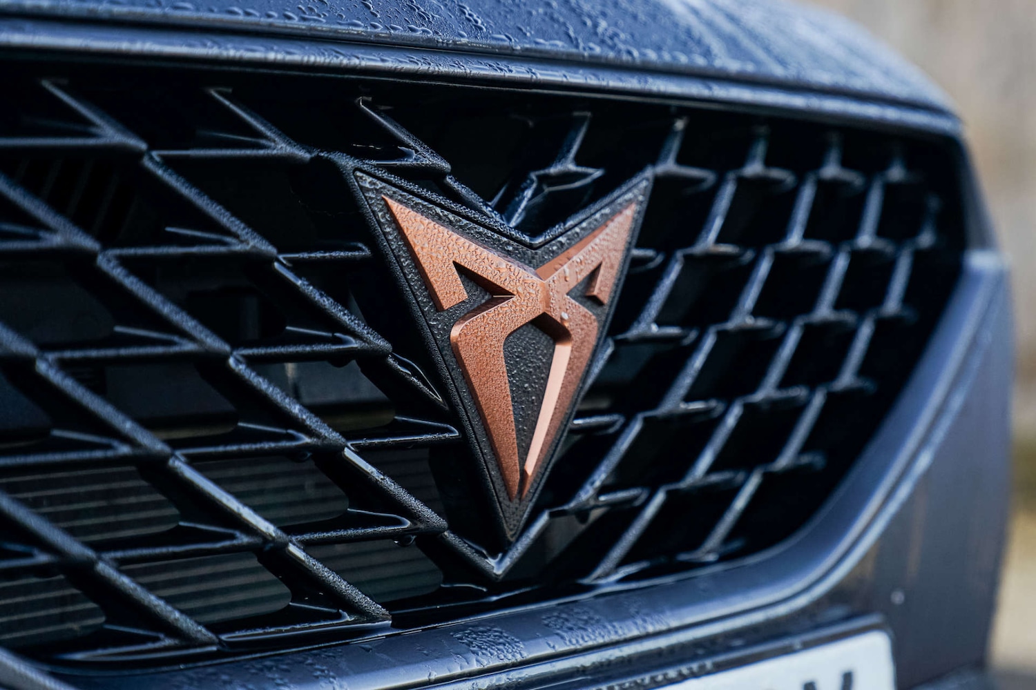 Used Cupra Formentor 2022 for sale - 76407019: Photo 4