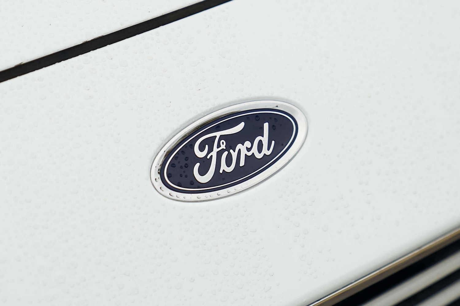 Used Ford Focus 2019 for sale - 74217736: Photo 4