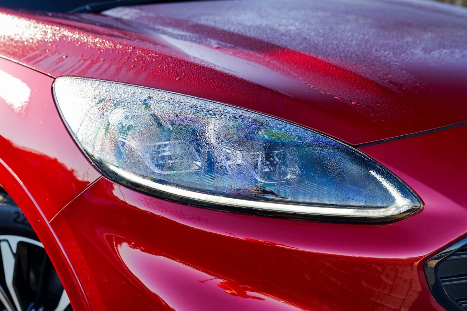 Used Ford Kuga 2023 for sale - 76436173: Photo 3