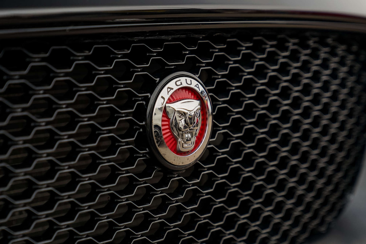 Used Jaguar F-Pace 2020 for sale - 76228745: Photo 4