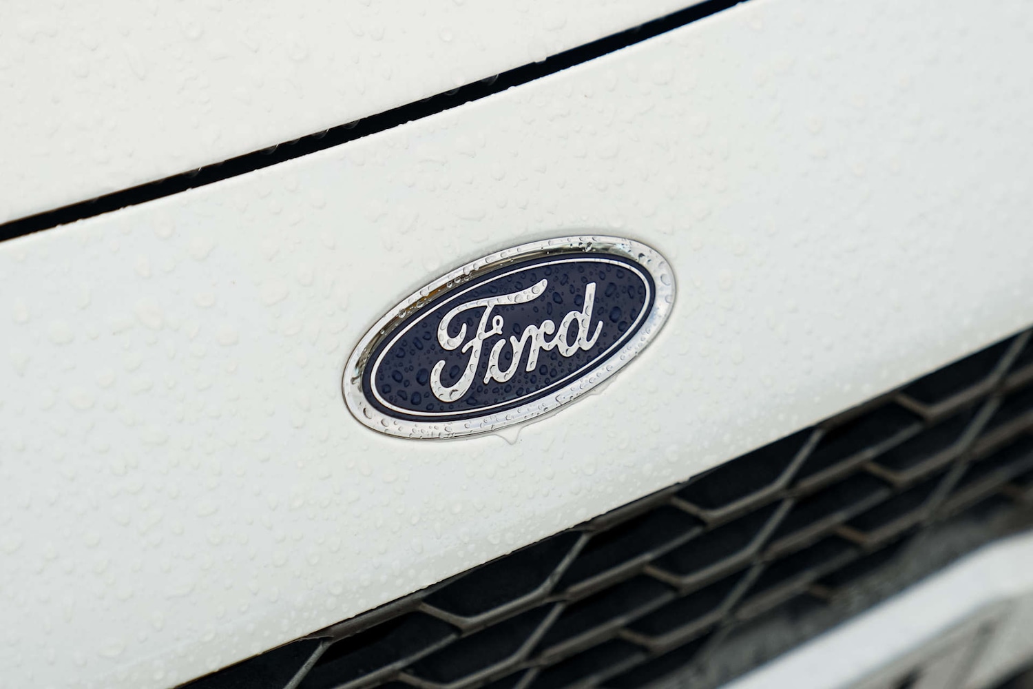 Used Ford Fiesta 2021 for sale - 77065390: Photo 19