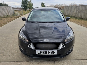 Used Ford Focus 2016 for sale - 79601425: Photo
