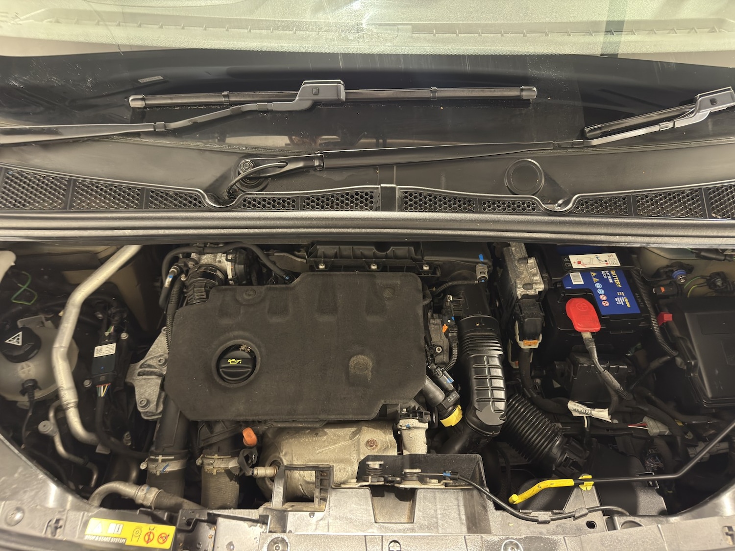 Used Citroen Berlingo 2021 for sale - 78031638: Photo 14