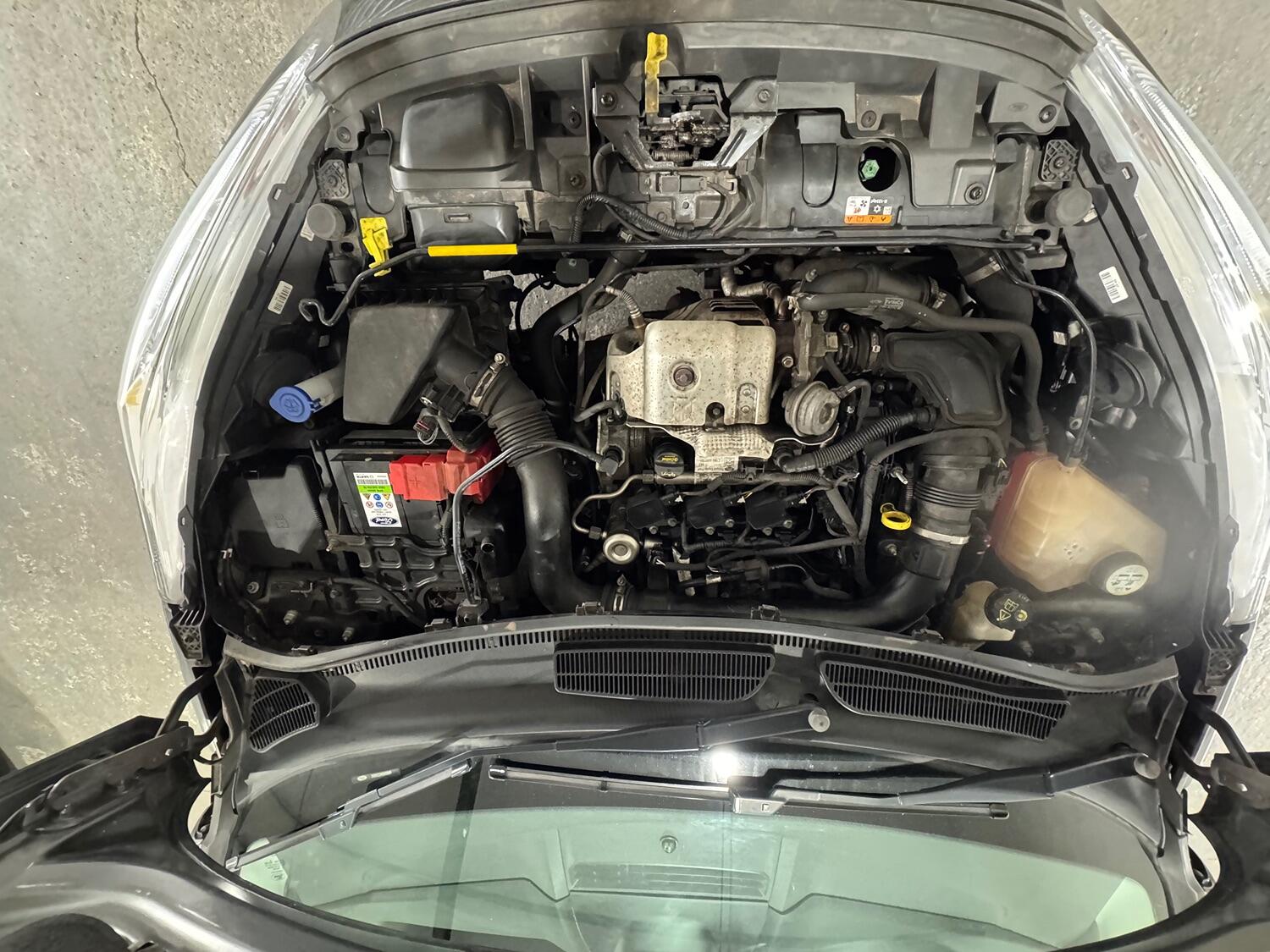 Used Ford Fiesta 2017 for sale - 76128895: Photo 21