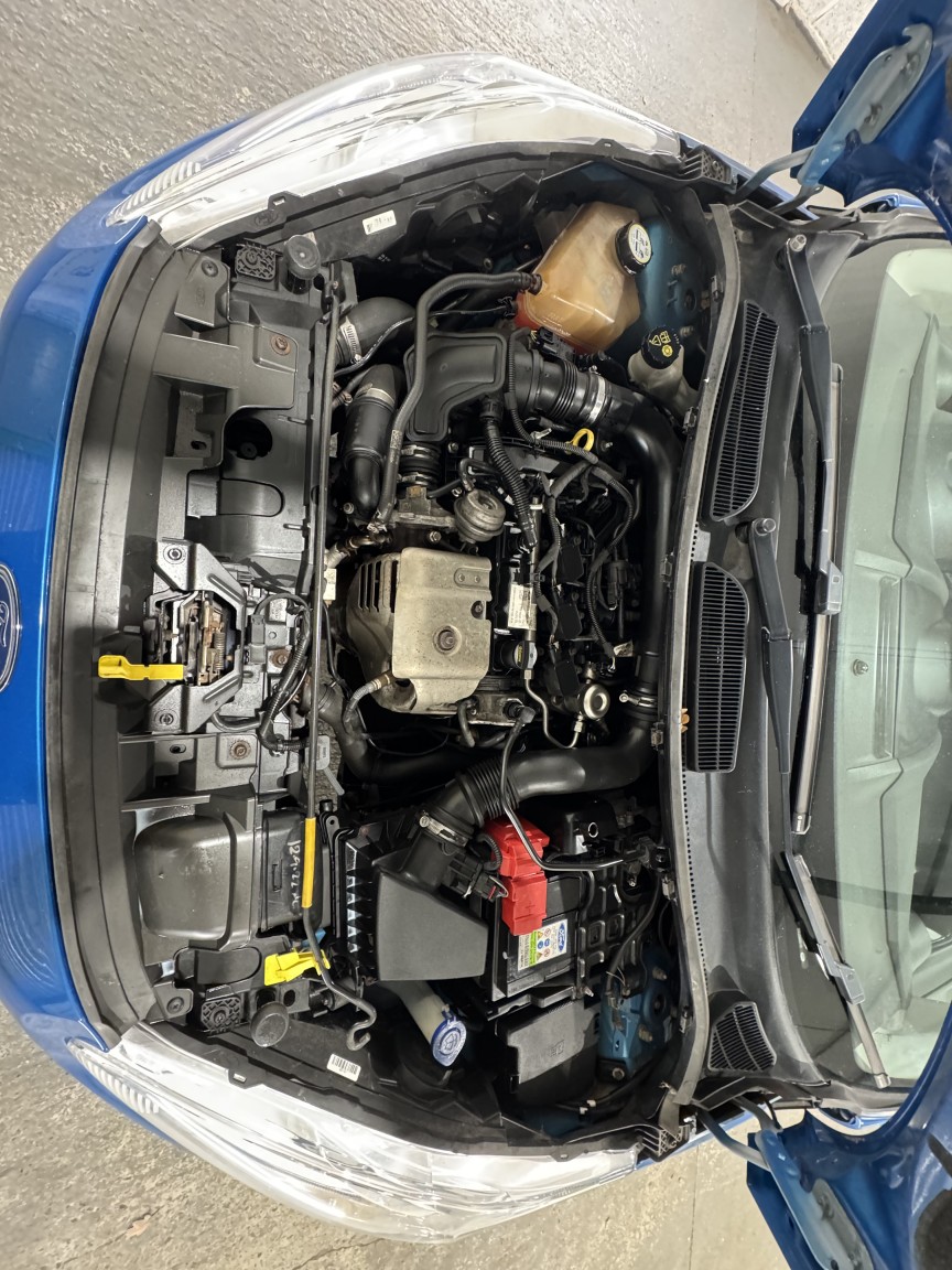 Used Ford Fiesta 2013 for sale - 76656178: Photo 19