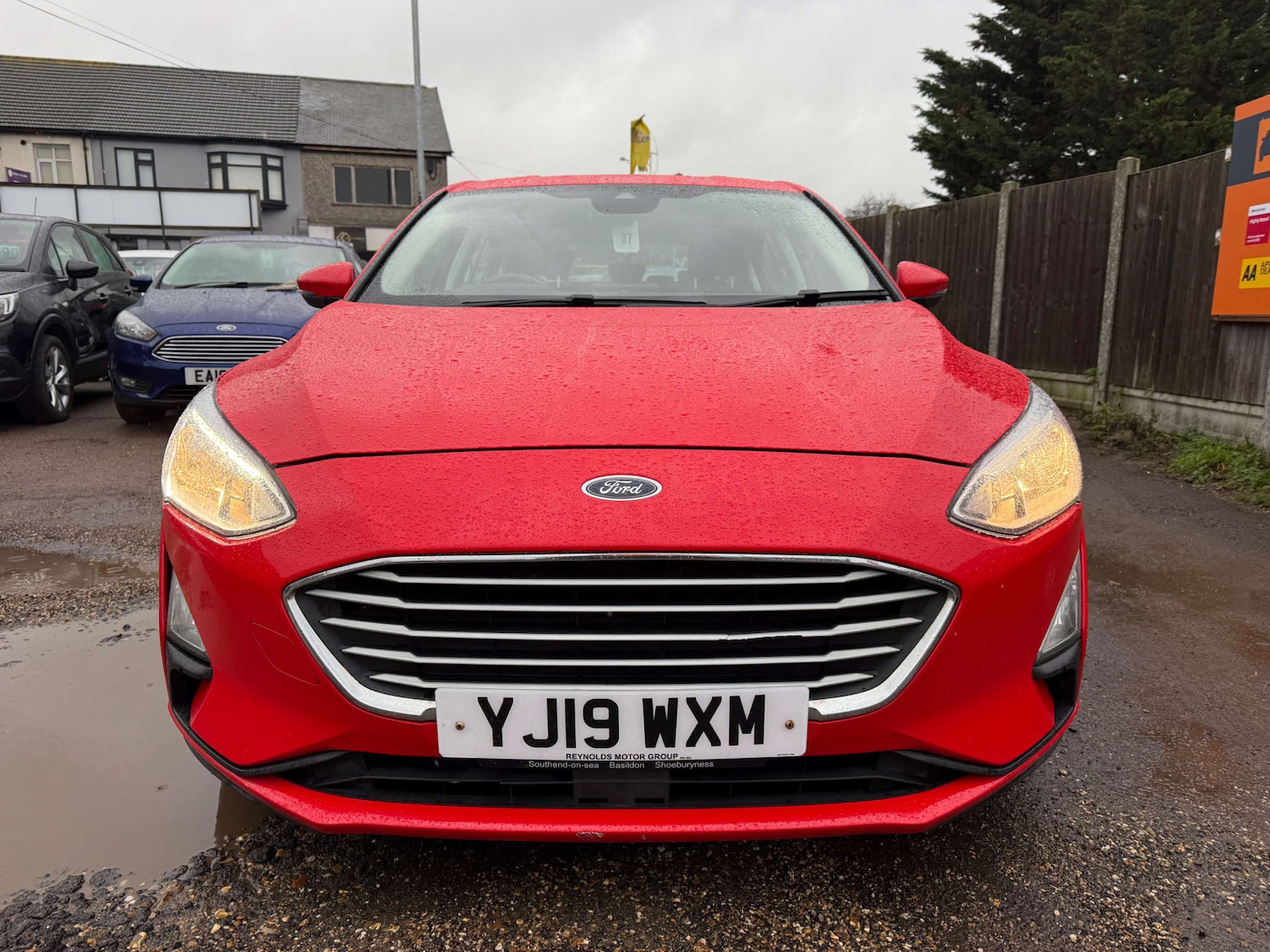 Used Ford Focus 2019 for sale - 77299383: Photo 3