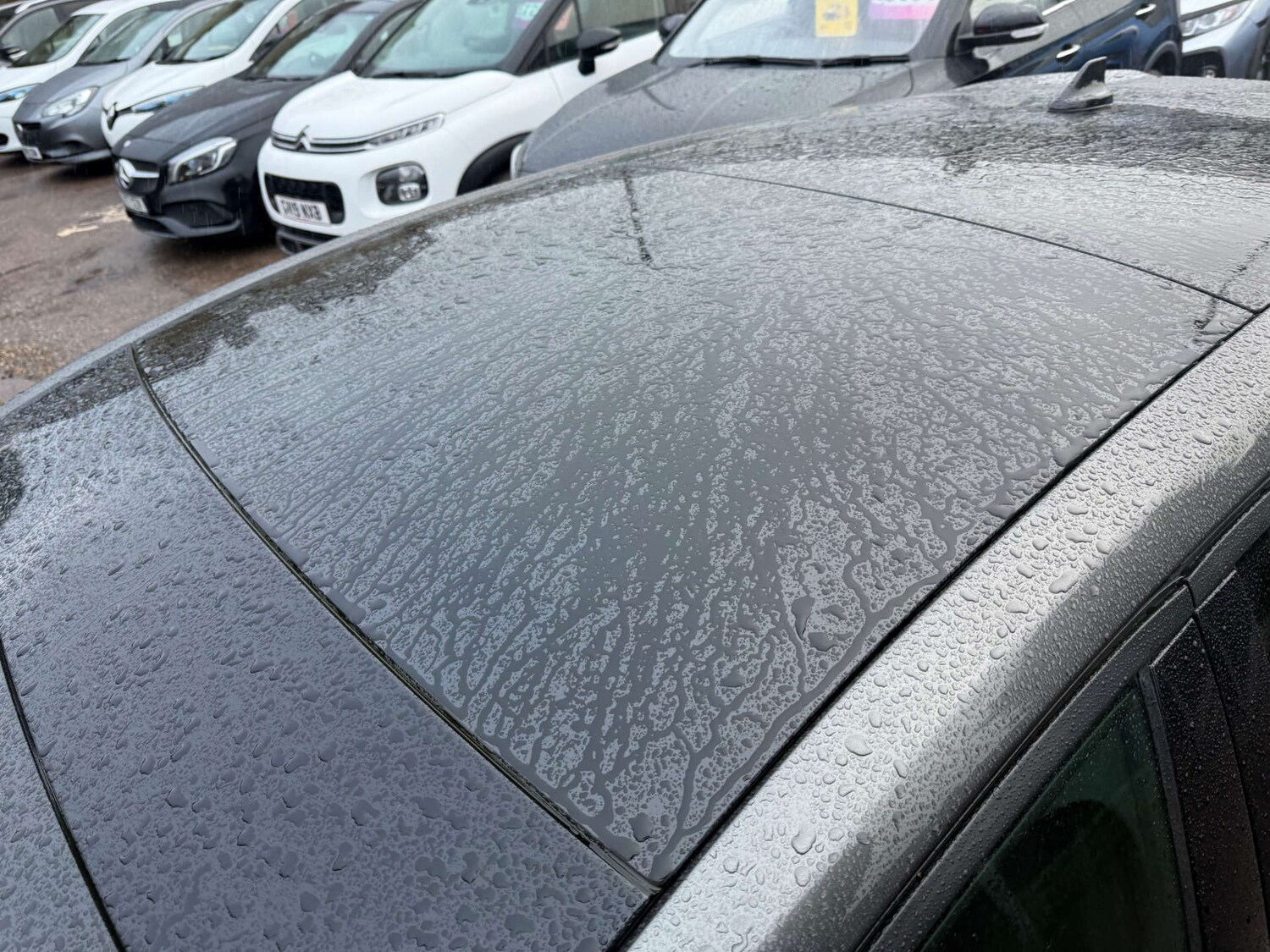 Used Ford Focus 2019 for sale - 77470110: Photo 15