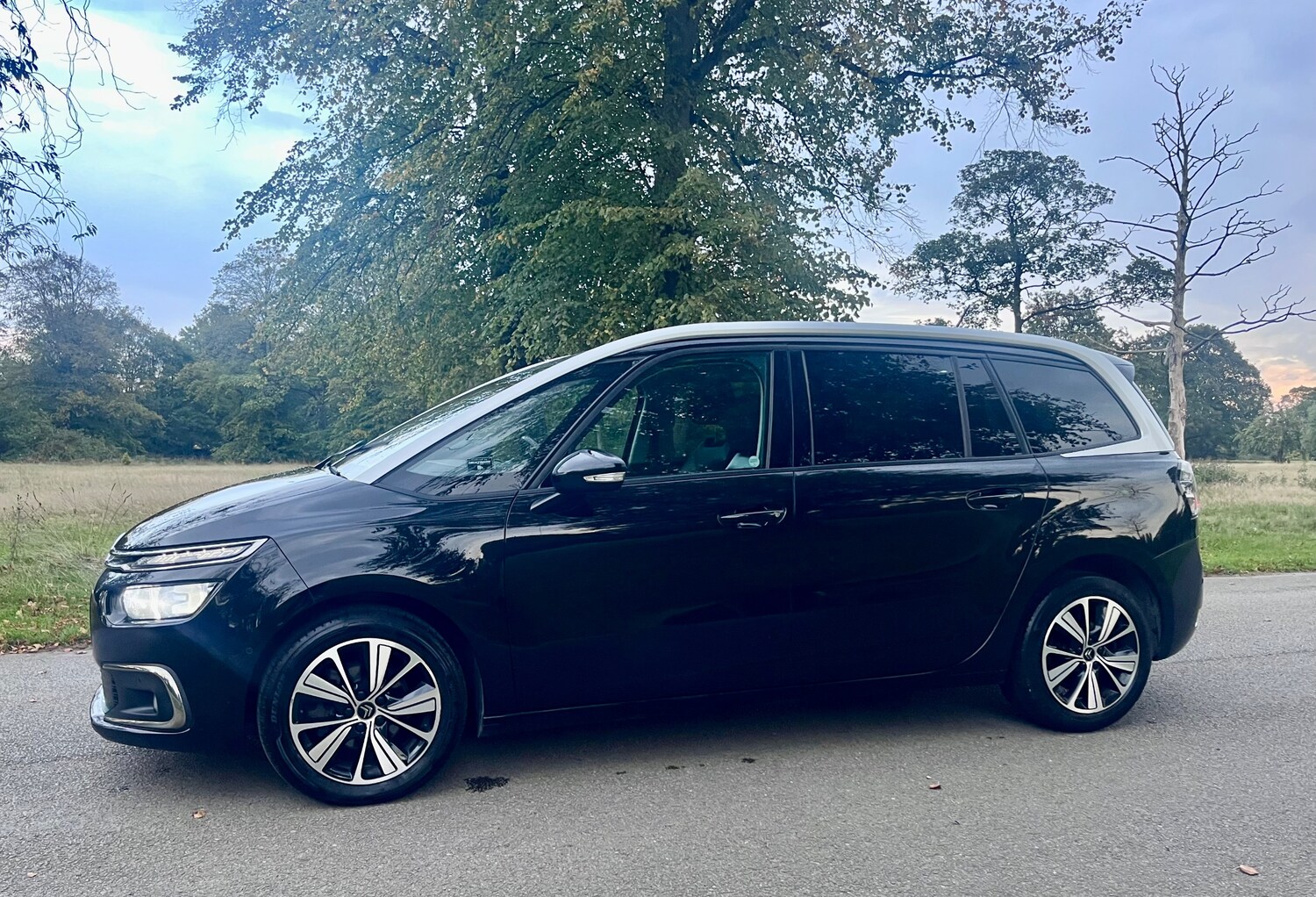 Used Citroen C4 Grand Picasso 2018 for sale - 75754440: Photo 55