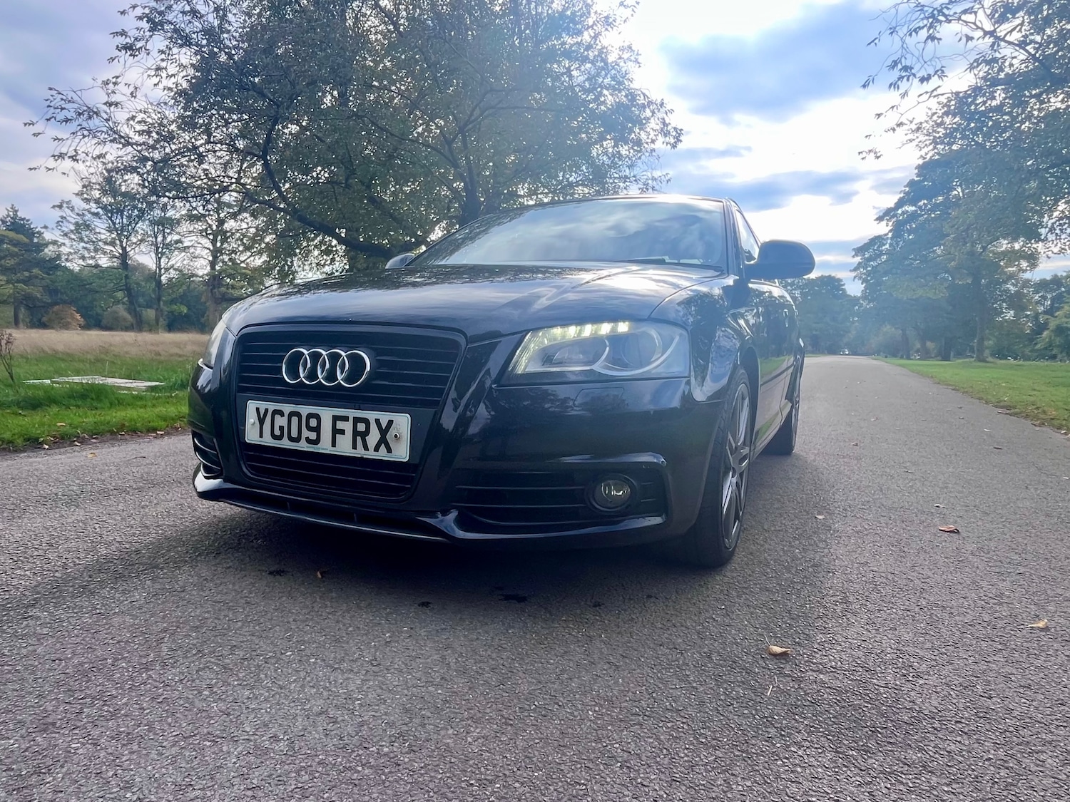 Used Audi A3 2009 for sale - 77083376: Photo 16