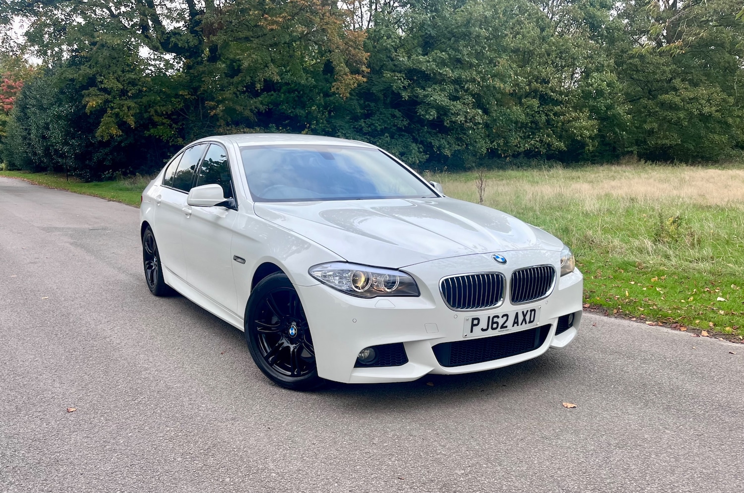 Used BMW 5 Series 2012 for sale - 76125477: Photo 10