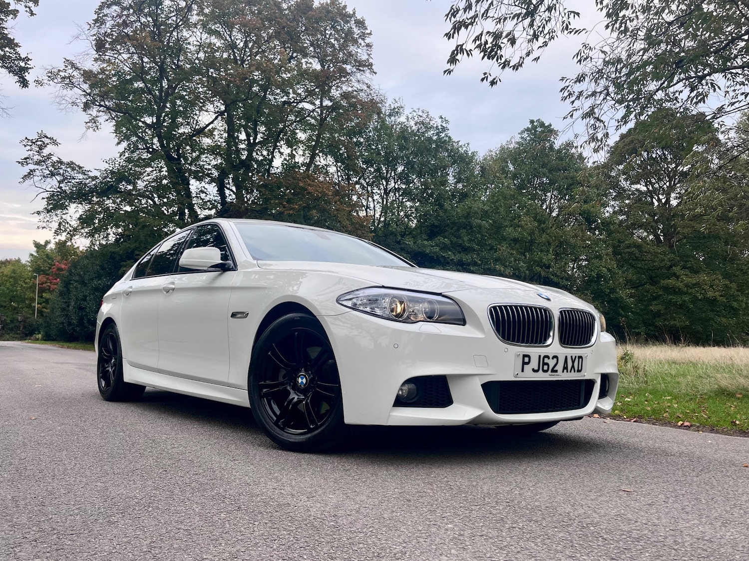 Used BMW 5 Series 2012 for sale - 76125477: Photo 8