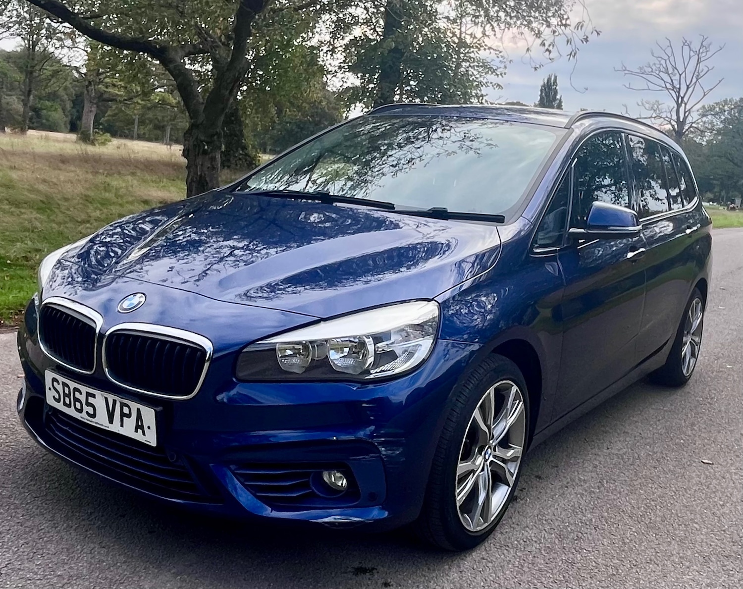 Used BMW 2 Series 2015 for sale - 76804319: Photo 3