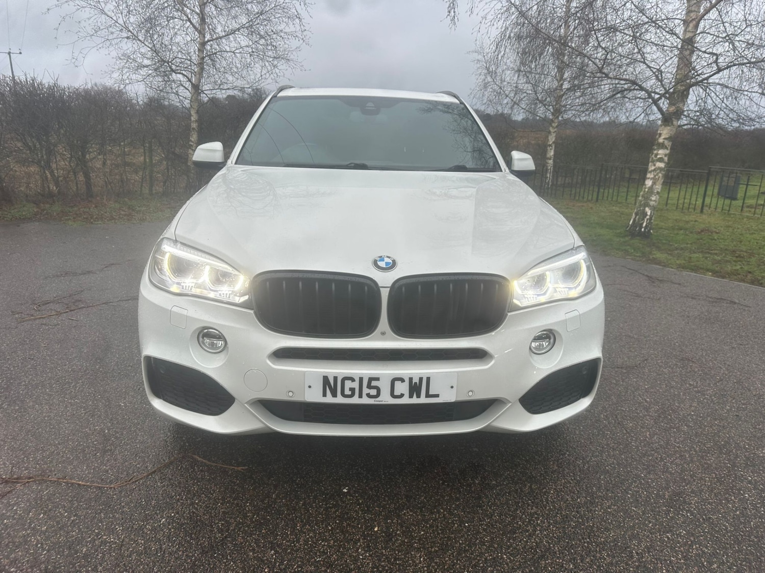 Used BMW X5 2015 for sale - 77462882: Photo 2