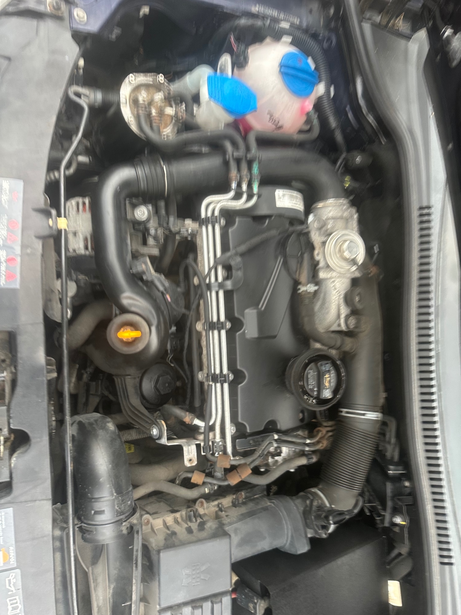 Used SEAT Leon 2009 for sale - 76640761: Photo 6