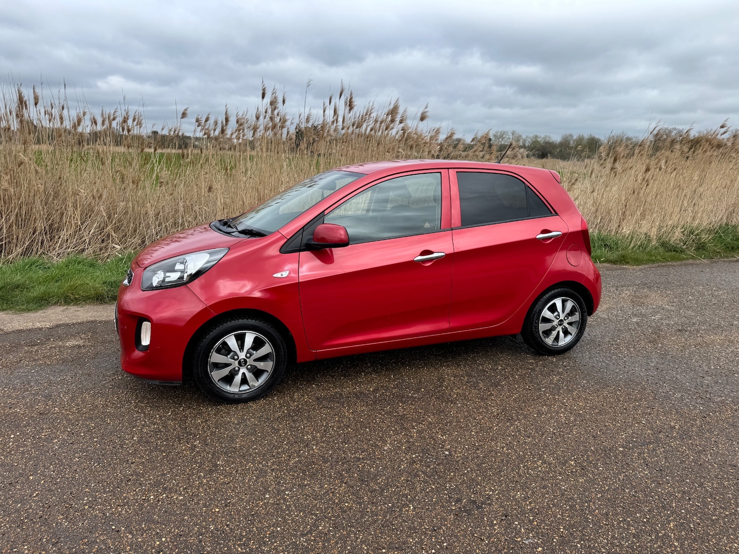 Used Kia Picanto 2016 for sale - 78079183: Photo 9