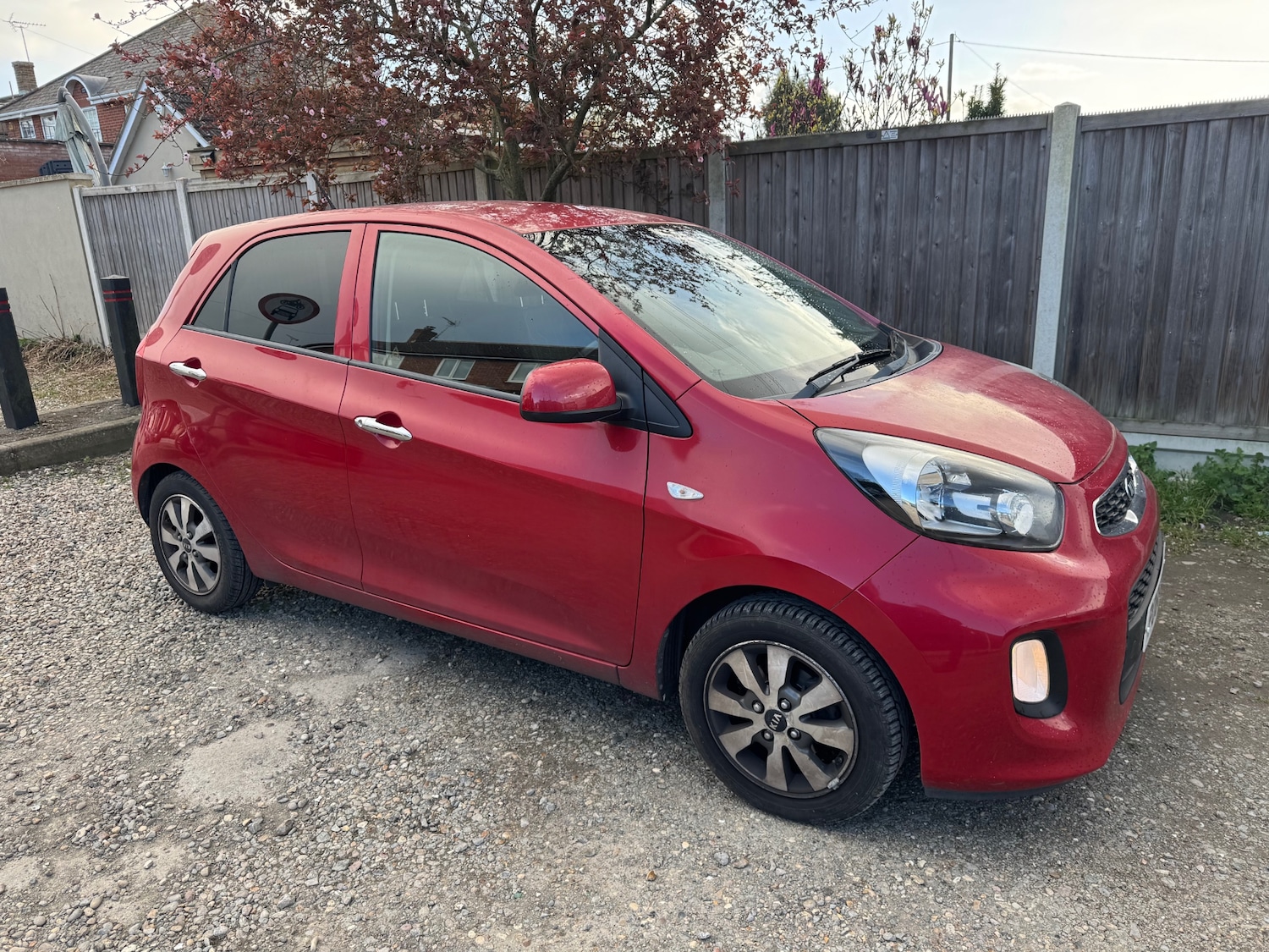 Used Kia Picanto 2016 for sale - 78055401: Photo 1