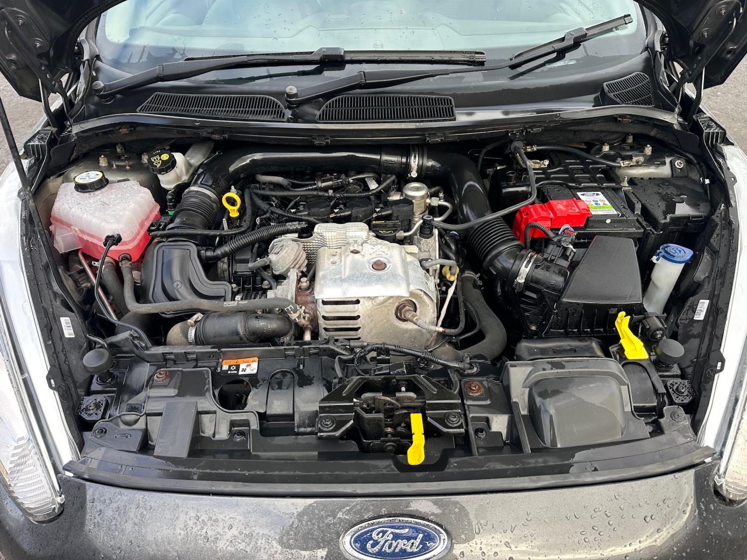 Used Ford Fiesta 2016 for sale - 77715998: Photo 24