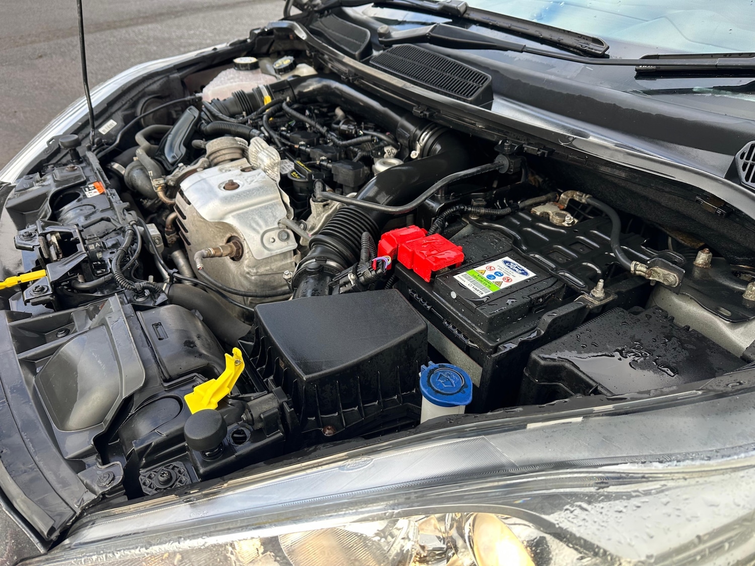 Used Ford Fiesta 2016 for sale - 77715998: Photo 25