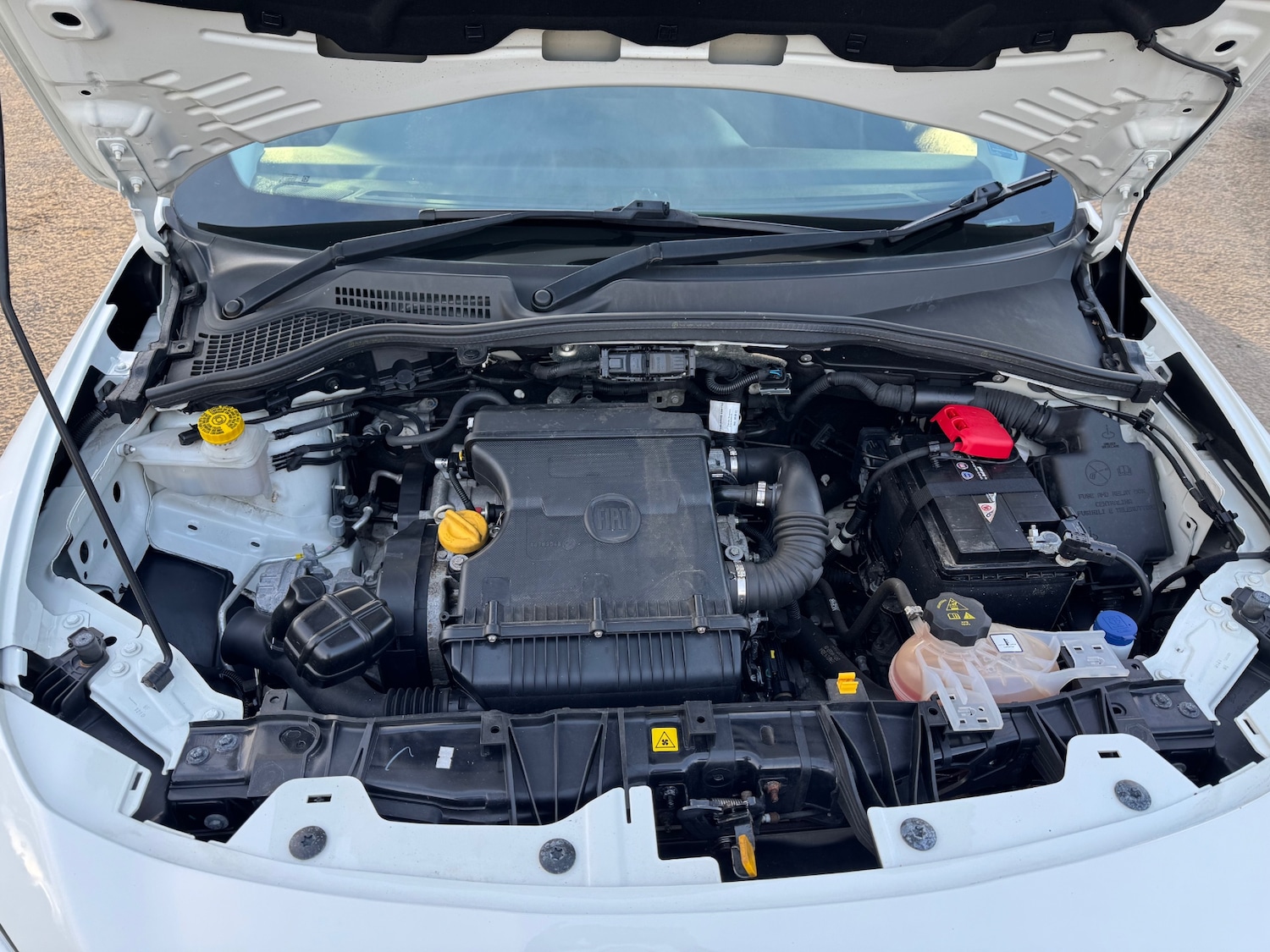 Used Fiat Tipo 2019 for sale - 77708378: Photo 29