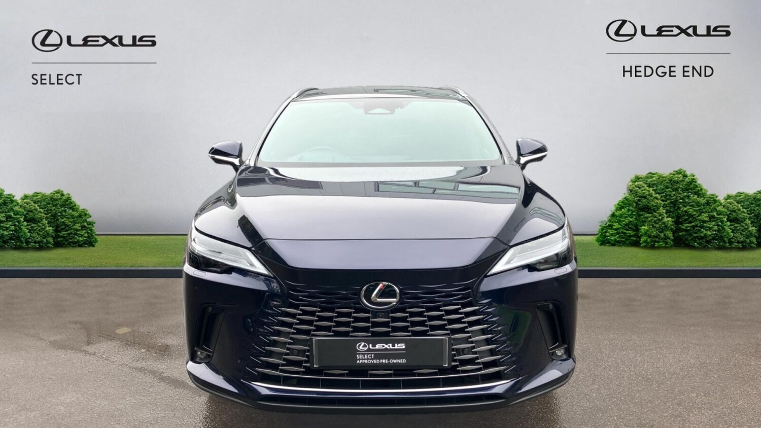 Used Lexus RX 2024 for sale - 76677933: Photo 6