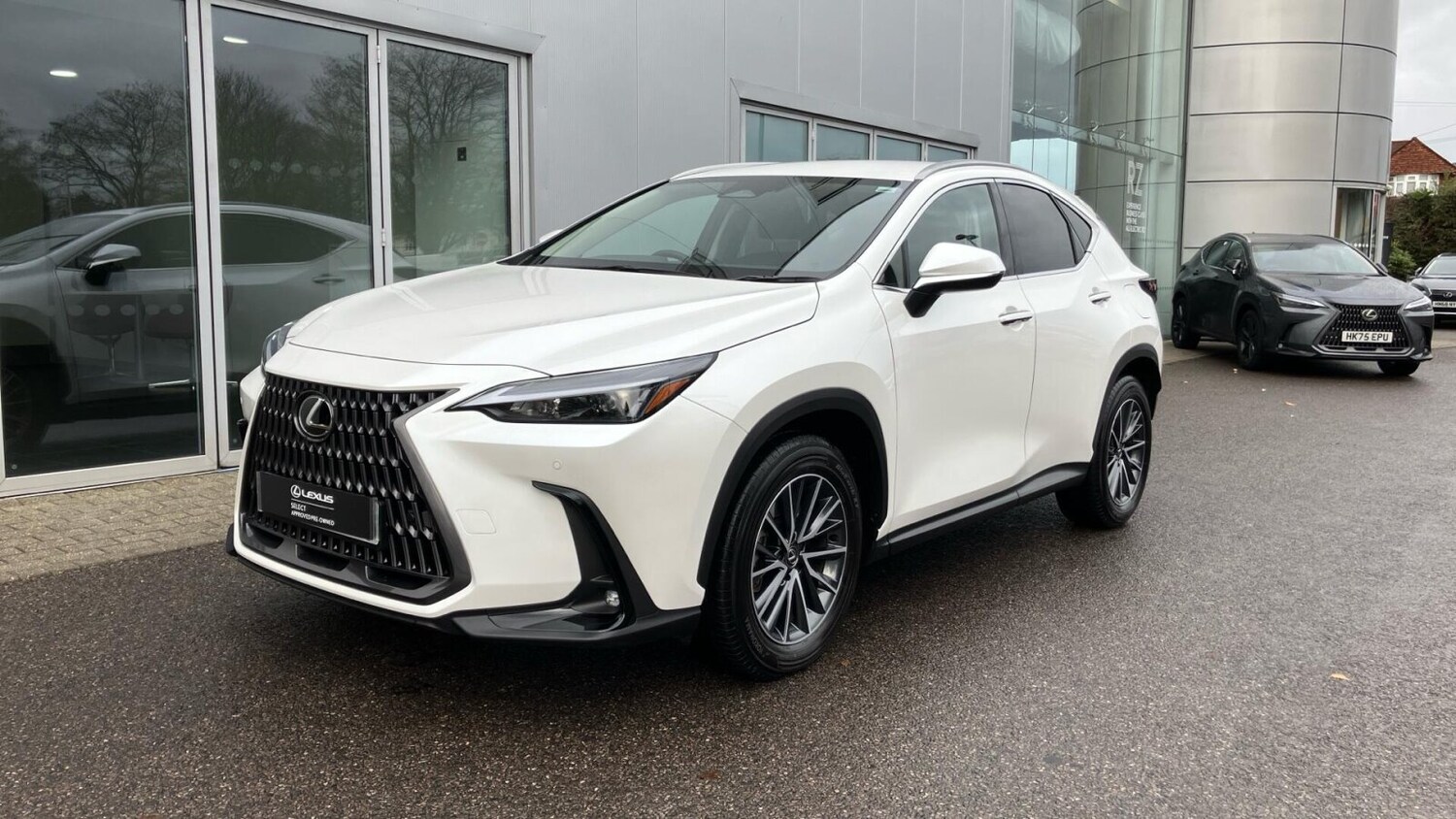 Used Lexus NX 2025 for sale - 78140338: Photo 20