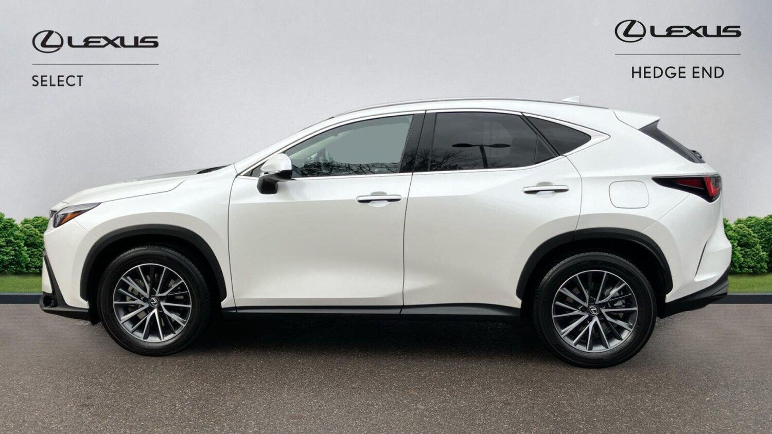 Used Lexus NX 2025 for sale - 78140338: Photo 6