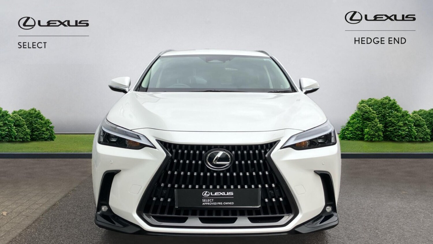 Used Lexus NX 2025 for sale - 78140338: Photo 7