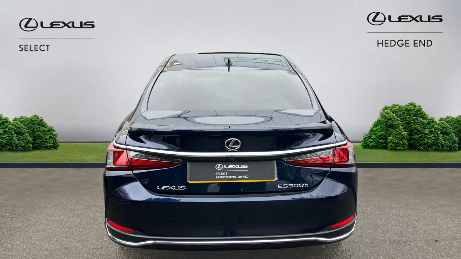 Used Lexus ES 2024 for sale - 77334436: Photo 8