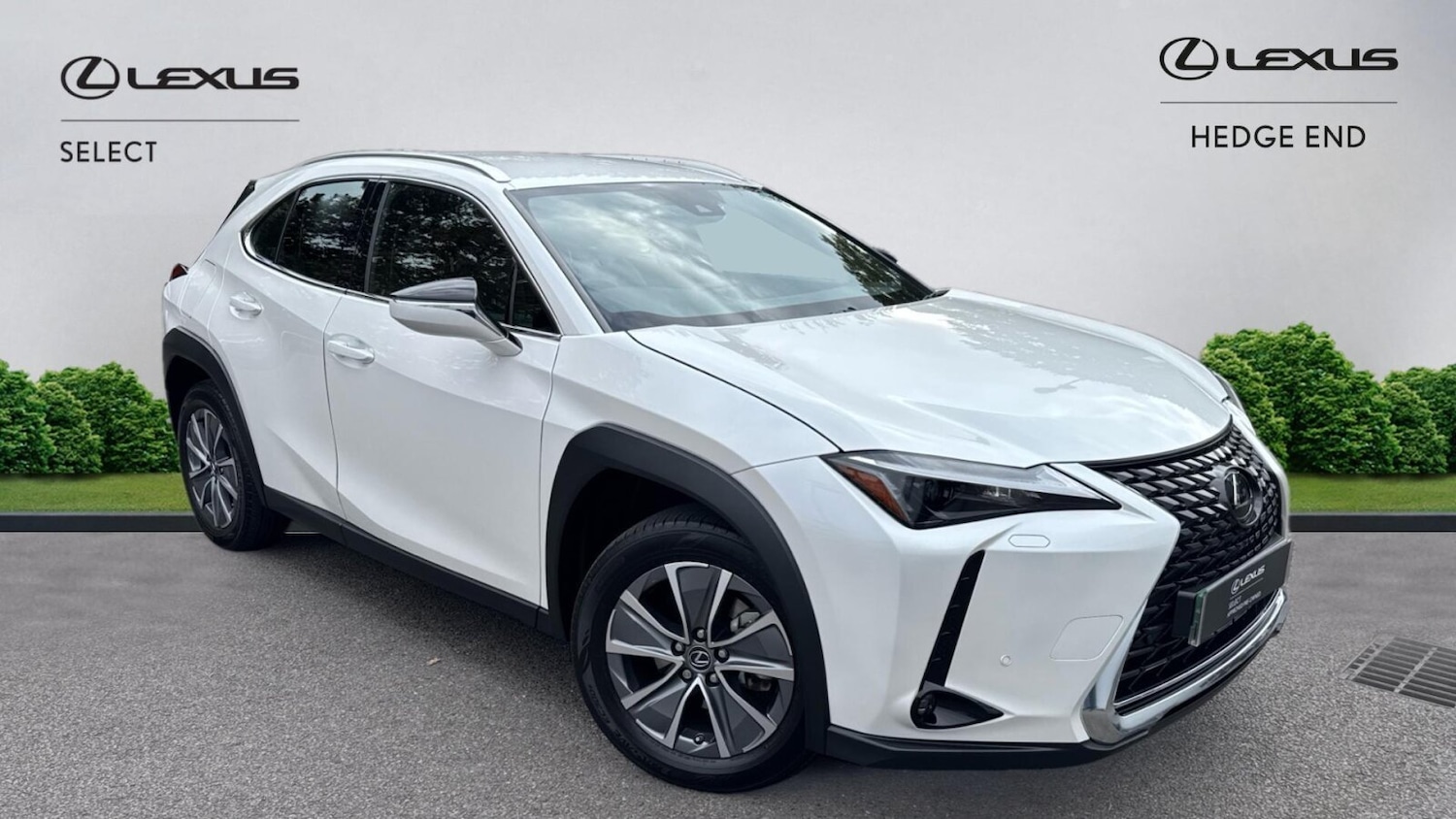 Used Lexus UX 2025 for sale - 76678900: Photo 1