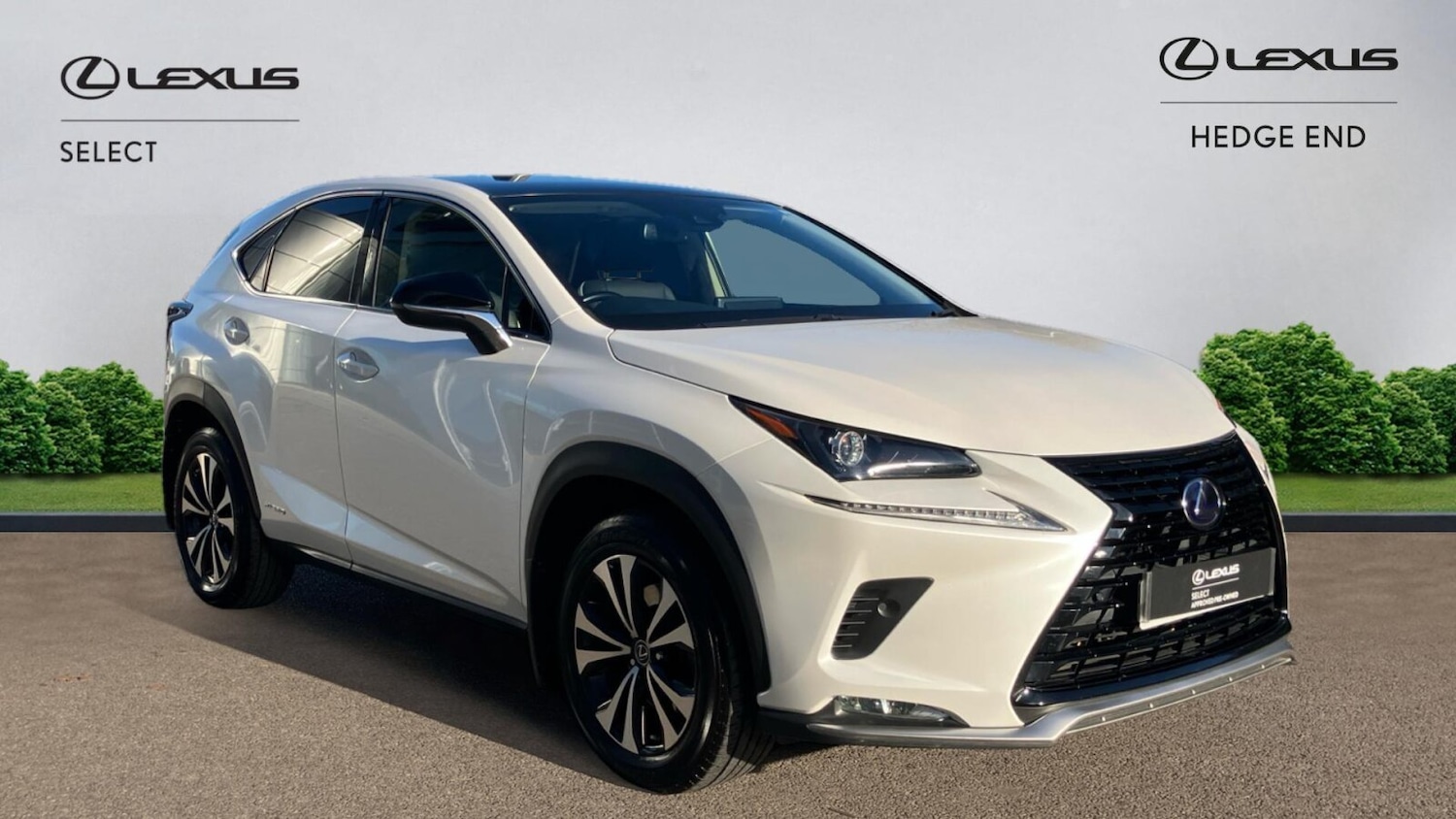 Used Lexus NX 2021 for sale - 76692524: Photo 1