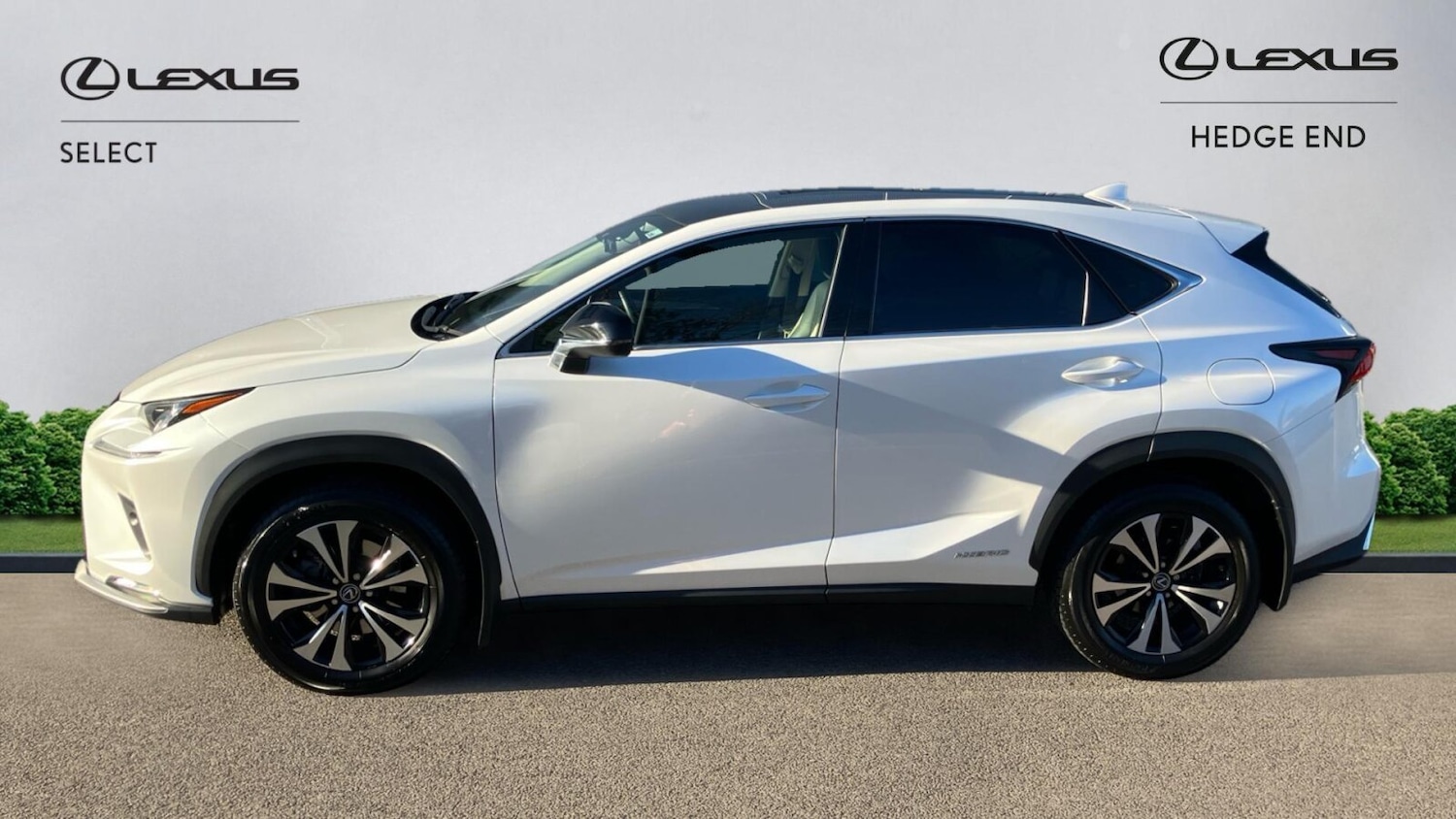 Used Lexus NX 2021 for sale - 76692524: Photo 3