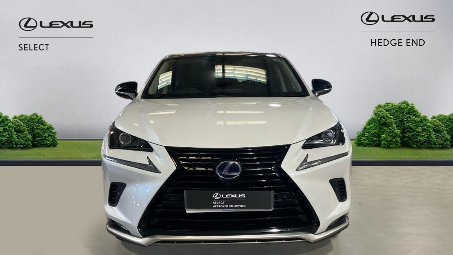 Used Lexus NX 2021 for sale - 76692524: Photo 4