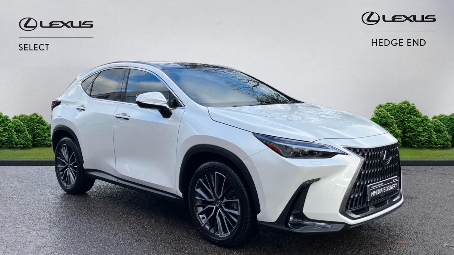 Used Lexus NX 2024 for sale - 76750414: Photo 1