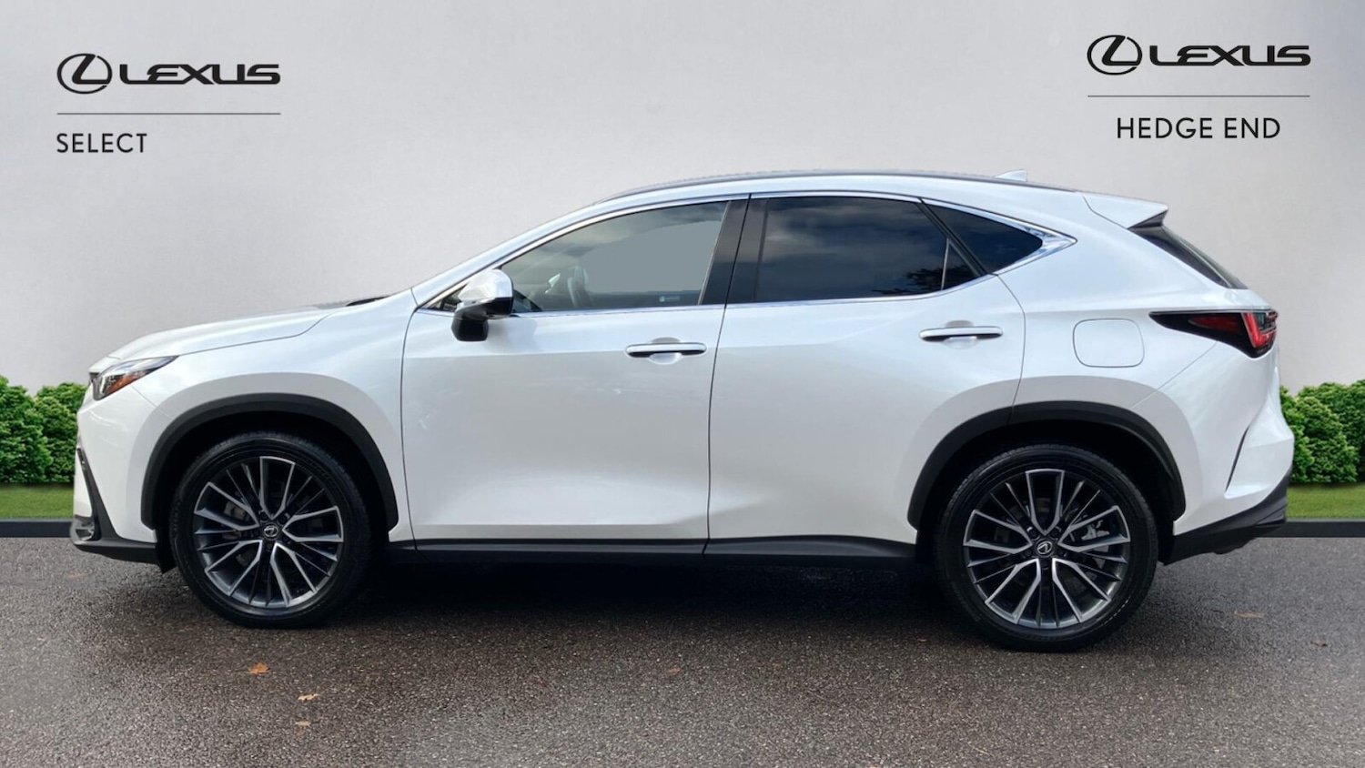 Used Lexus NX 2024 for sale - 76750414: Photo 5