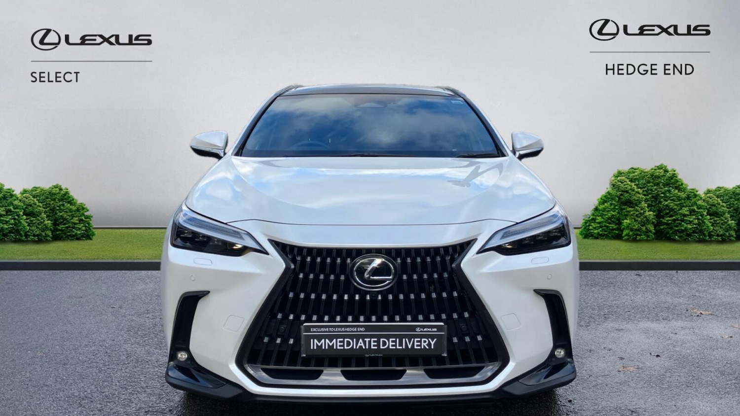 Used Lexus NX 2024 for sale - 76750414: Photo 6