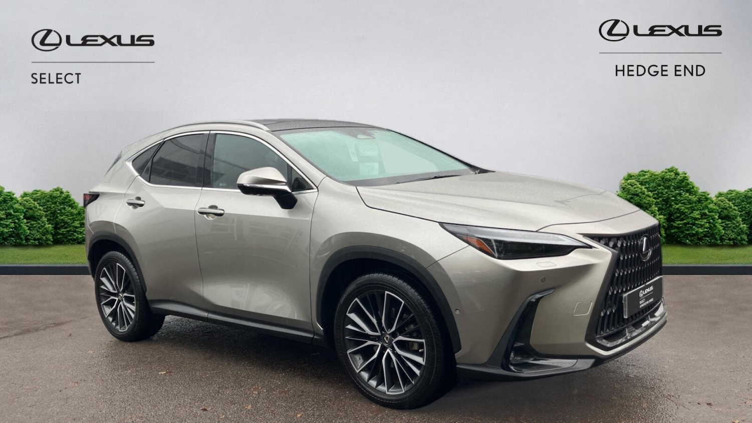 Used Lexus NX 2022 for sale - 76673960: Photo 1