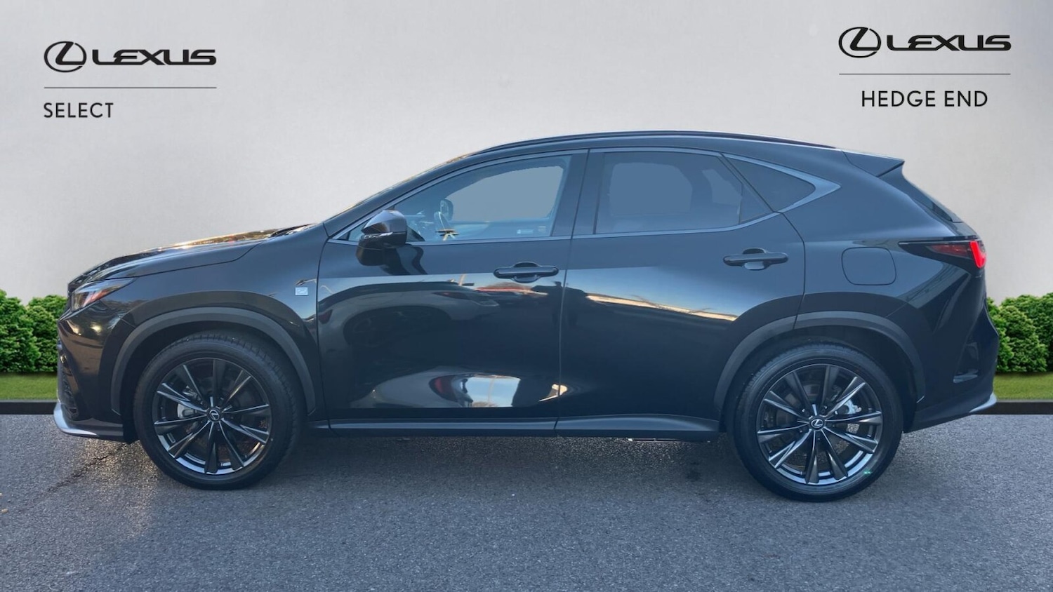 Used Lexus NX 2024 for sale - 76677952: Photo 6