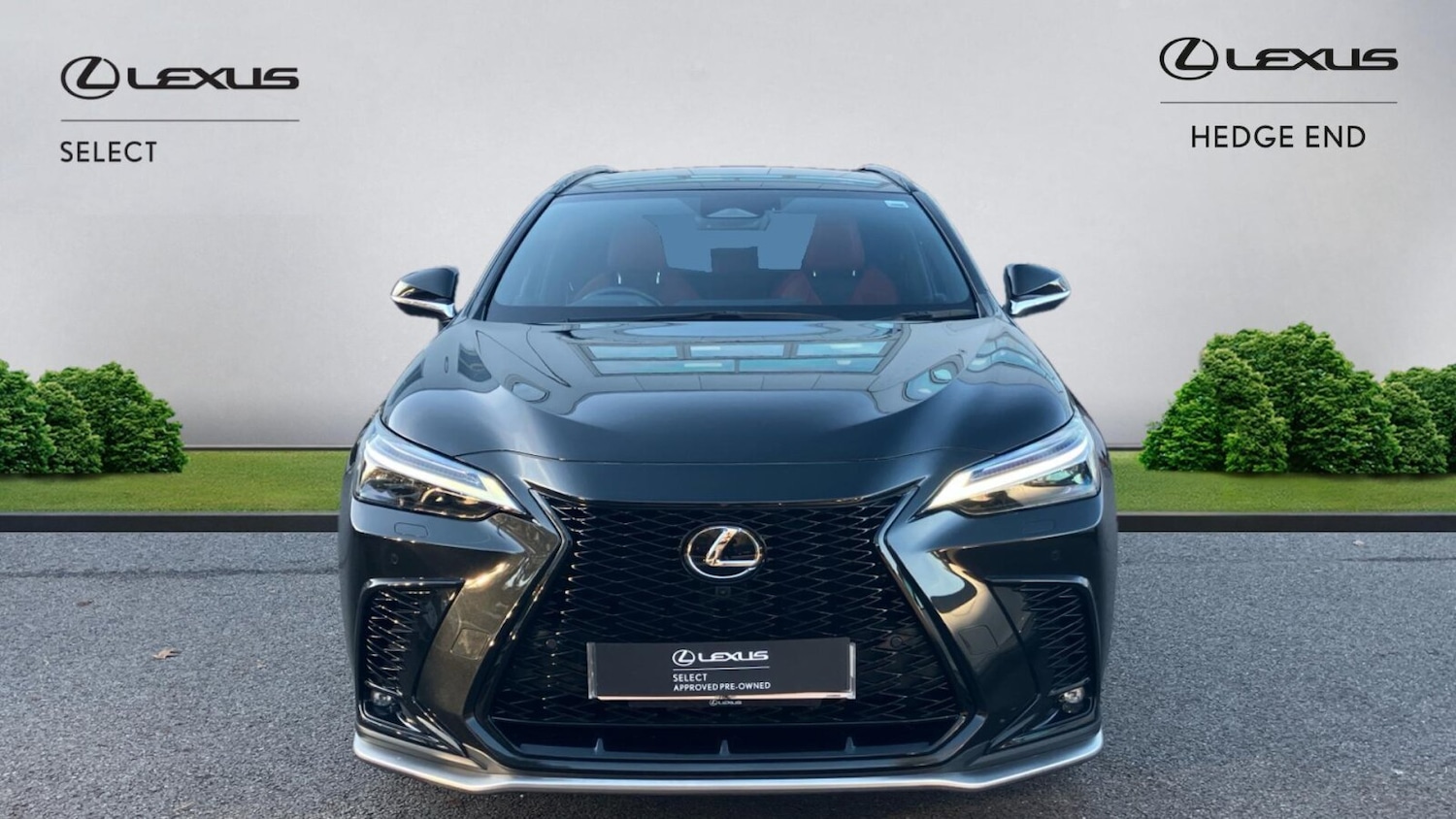 Used Lexus NX 2024 for sale - 76677952: Photo 7