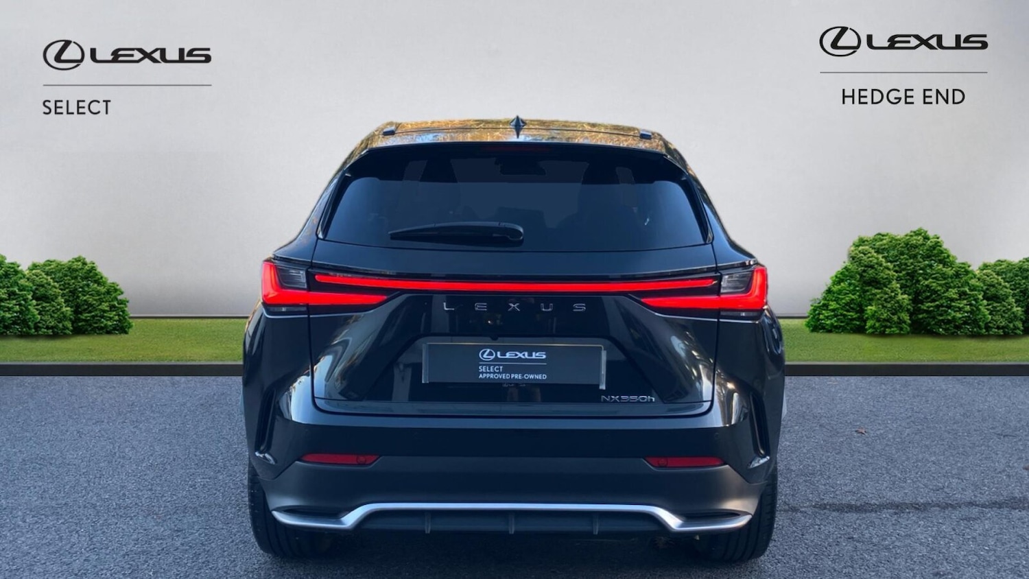 Used Lexus NX 2024 for sale - 76677952: Photo 8