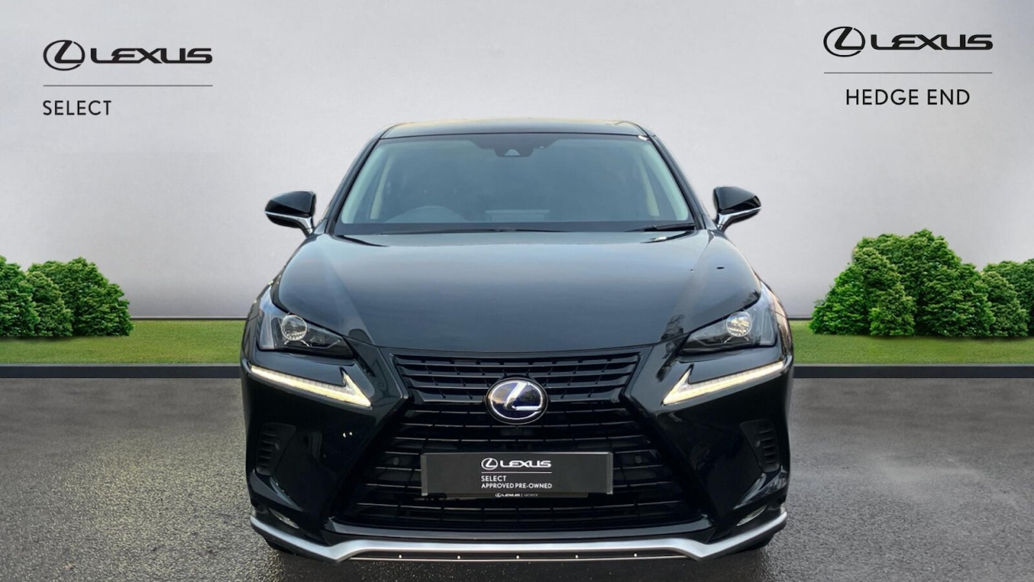 Used Lexus NX 2021 for sale - 77031236: Photo 6