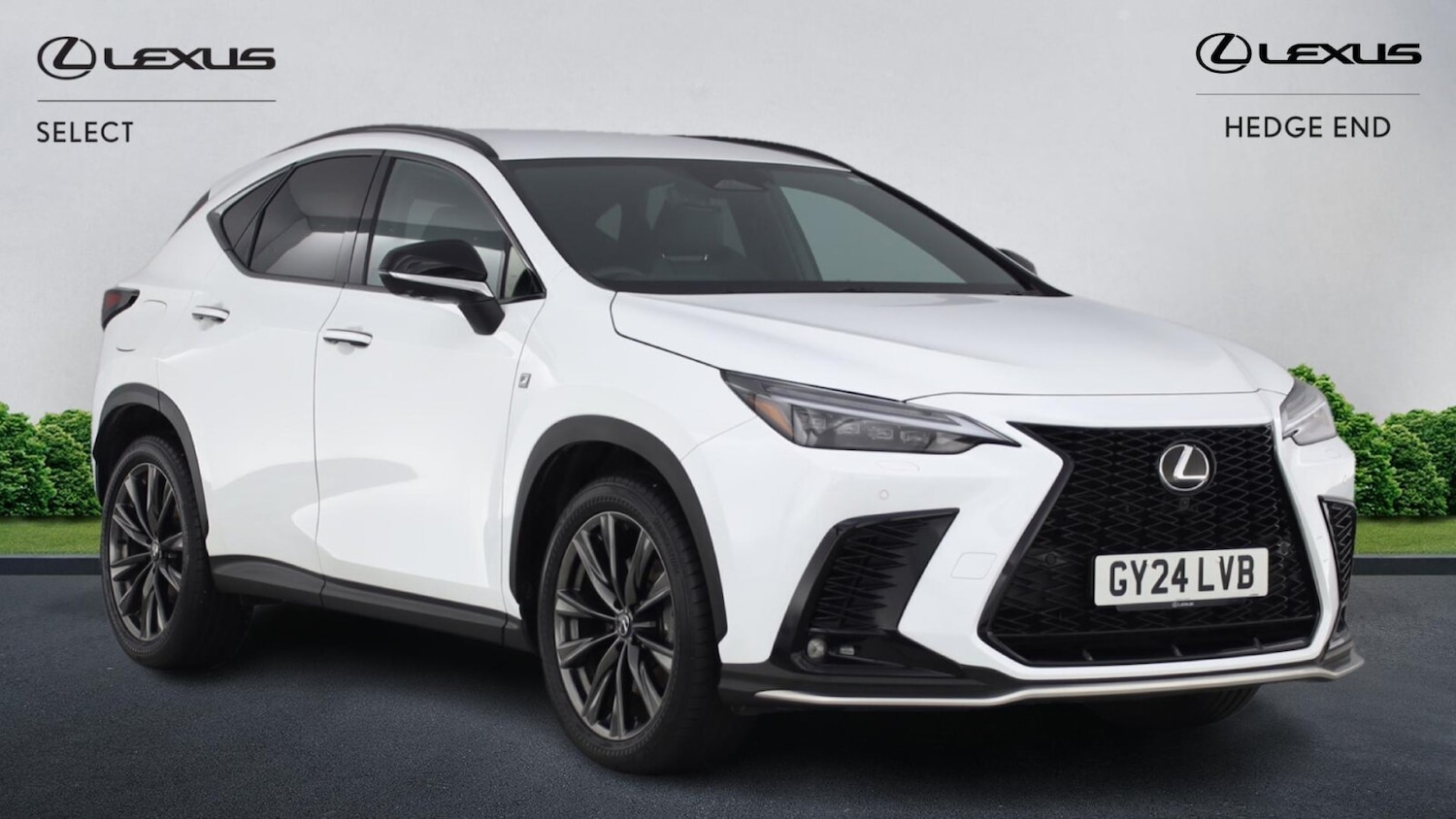 Used Lexus NX 2024 for sale - 76750403: Photo 1