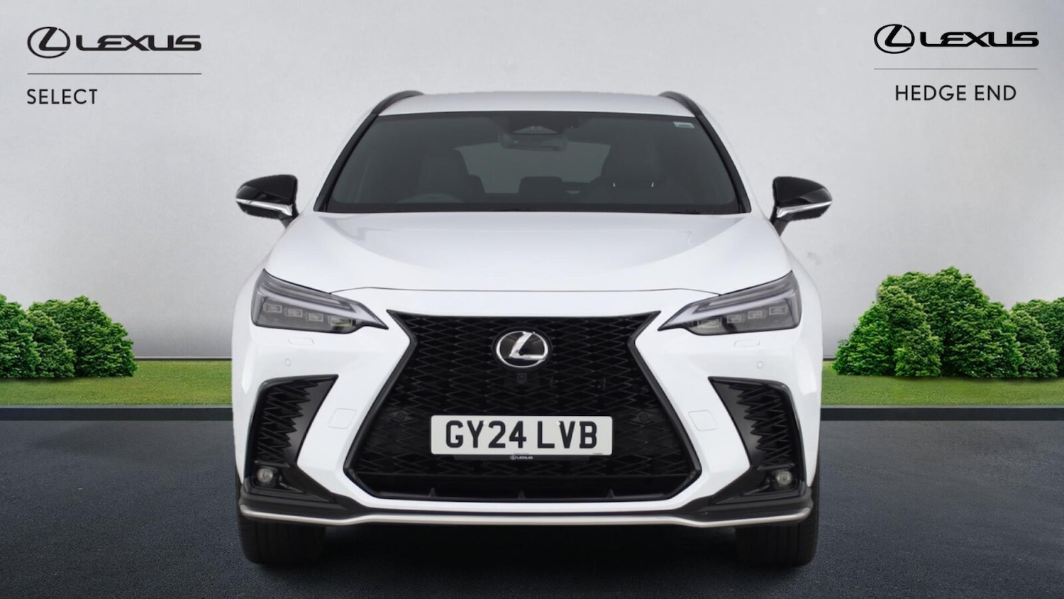Used Lexus NX 2024 for sale - 76750403: Photo 6