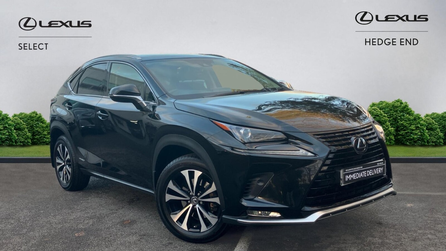 Used Lexus NX 2021 for sale - 76681424: Photo 4