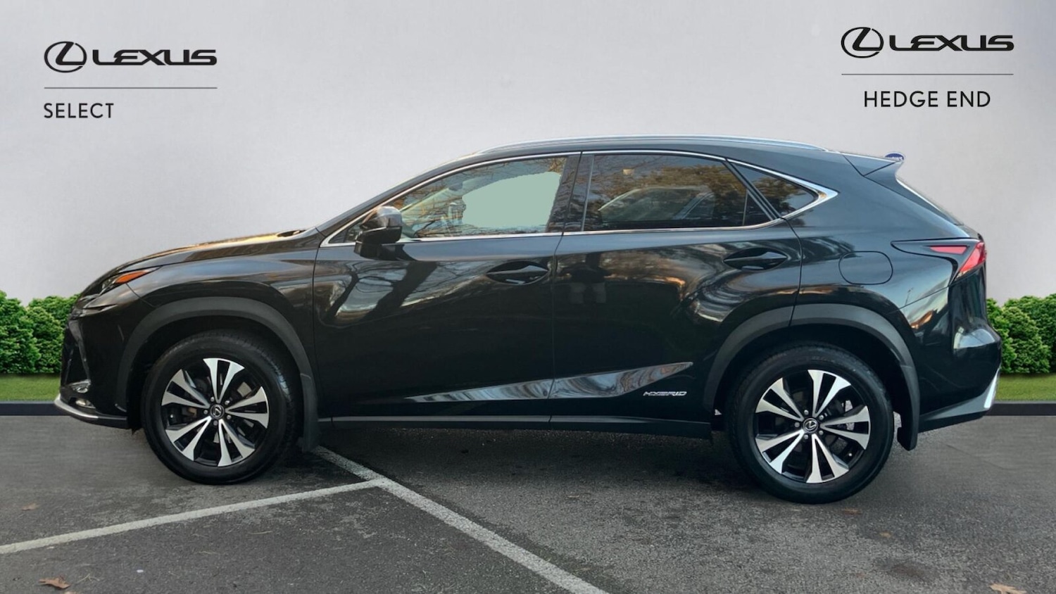 Used Lexus NX 2021 for sale - 76681424: Photo 6